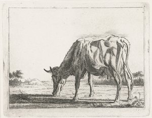 Mucca al pascolo da Jacobus Cornelis Gaal