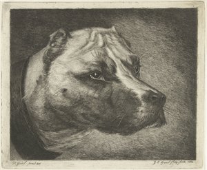 Testa di cane con collare da Jacobus Cornelis Gaal