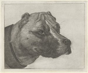 Testa di cane con collare da Jacobus Cornelis Gaal