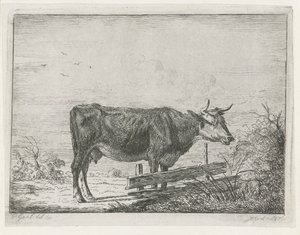 Mucca, in piedi vicino a una recinzione da Jacobus Cornelis Gaal