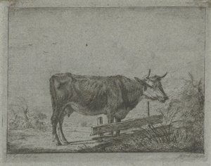 Mucca vicino a una recinzione da Jacobus Cornelis Gaal