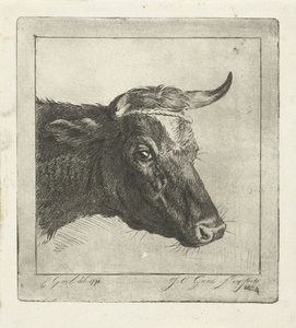 Testa di una mucca con corda intorno alle corna da Jacobus Cornelis Gaal