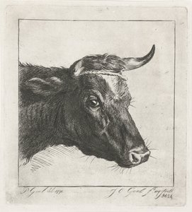 Testa di una mucca con corda attorno alle corna da Jacobus Cornelis Gaal