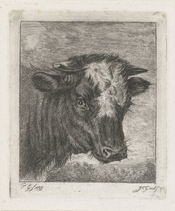 Testa di una mucca con macchia bianca da Jacobus Cornelis Gaal