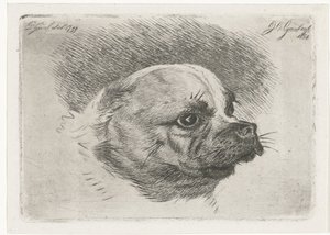 Testa di un carlino da Jacobus Cornelis Gaal