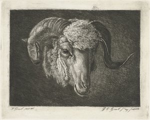 Testa di un ariete con corna ricurve da Jacobus Cornelis Gaal