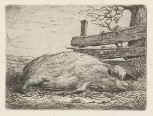 Cinghiale sdraiato da Jacobus Cornelis Gaal