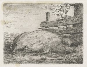 Cinghiale sdraiato da Jacobus Cornelis Gaal