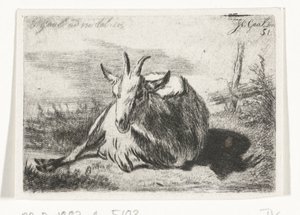 Capra sdraiata, verso sinistra da Jacobus Cornelis Gaal