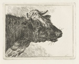 Bue muggente da Jacobus Cornelis Gaal