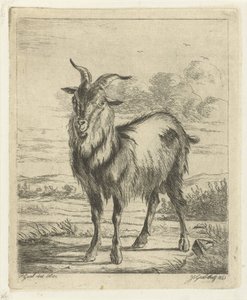 Capra in piedi da Jacobus Cornelis Gaal