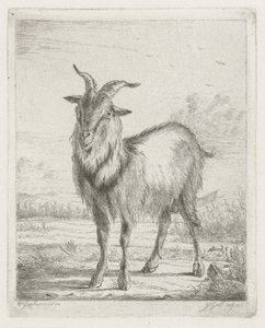 Capra in piedi da Jacobus Cornelis Gaal