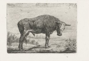 Toro in piedi da Jacobus Cornelis Gaal