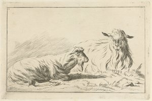 Due capre sdraiate da Jacobus Cornelis Gaal
