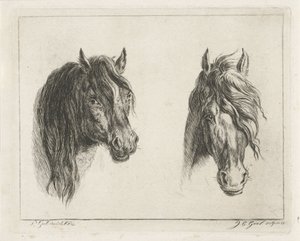Due teste di cavallo