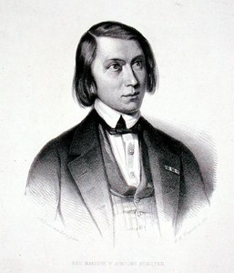 Ritratto di Josephus Hermanus Verhulst (1816-91)