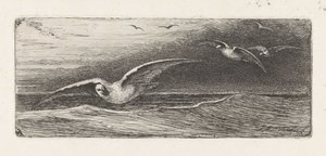 Gabbiani da Jacobus Hermanus Otterbeek