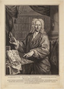  da Jacobus Houbraken