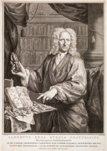  da Jacobus Houbraken