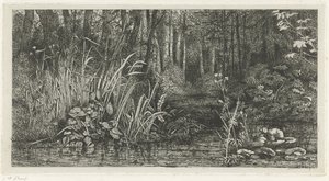 Ruscello nel bosco da Jacobus Ludovicus Cornet