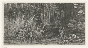 Ruscello nel bosco da Jacobus Ludovicus Cornet