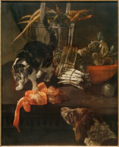 Cucina con cane e gatto