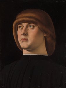 Ritratto di un giovane uomo