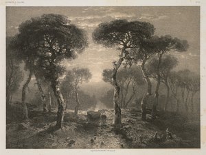 Opere di A. Calame, No. 13: Foresta di Sierre in Vallese