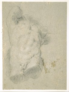 Disegno di un torso maschile da Jacopo Bassano