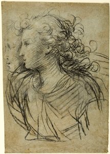Vista a mezzo busto di una donna di profilo a sinistra (recto); Vista a mezzo busto di una figura di tre quarti di profilo (verso) da Jacopo Confortini