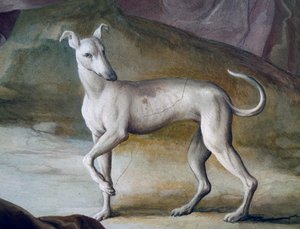 Cane, (dettaglio) da un affresco di Jacopo Guarana (1720-1808), sala centrale di Villa Contarini, Valnogaredo, Veneto, Italia da Jacopo Guarana