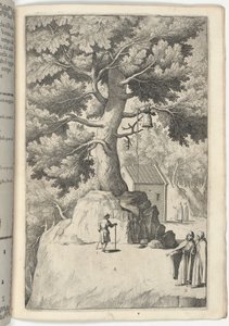 Faggio della campana [tavola X] da Jacopo Ligozzi