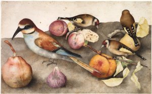 Natura Morta con Uccelli e Frutta, c. 1650 da Jacopo Ligozzi