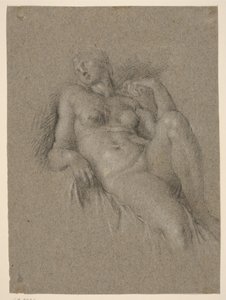 Copia dell