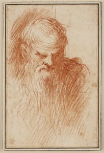 Testa di uomo barbuto