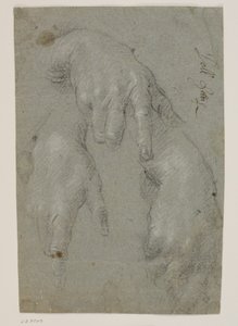 Tre studi di una mano destra da Jacopo Palma