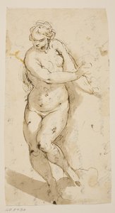 Nudo femminile in cammino da Jacopo Palma
