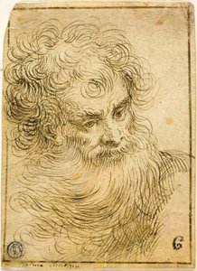 Testa di Vecchio Barbuto (recto); Schizzo Decorativo di Fiore e Foglie (verso) da Jacopo Palma il Giovane