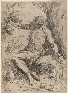 San Giovanni Battista da Jacopo Palma il Giovane