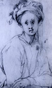Disegno a gesso intitolato "Studio di una ragazza" di Pontormo da Jacopo Pontormo
