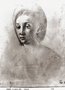 Testa di donna da Jacopo Pontormo