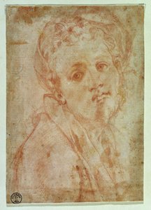 Autoritratto da Jacopo Pontormo