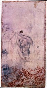 Studio per un ritratto di Cosimo I Giovinetto con altri studi di corpi contorti da Jacopo Pontormo