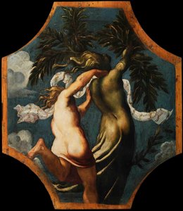 Apollo e Dafne, ca 1541 da Jacopo Robusti Tintoretto