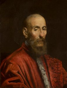 Ritratto di un senatore da Jacopo Tintoretto