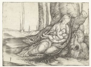 Maria con bambino al seno seduta ai piedi di un albero da Jacopo de