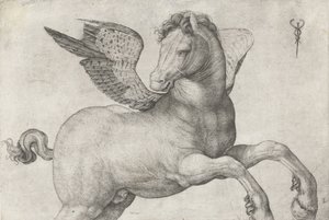 Pegaso, 1509-16 da Jacopo de Barbari