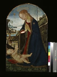 Madonna che adora il Bambino Gesù da Jacopo del Sellaio