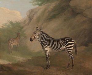Zebra da Jacques-Laurent Agasse