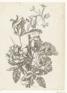 Bouquet con peonie, un tulipano e una brodiaea da Jacques Bailly (I)